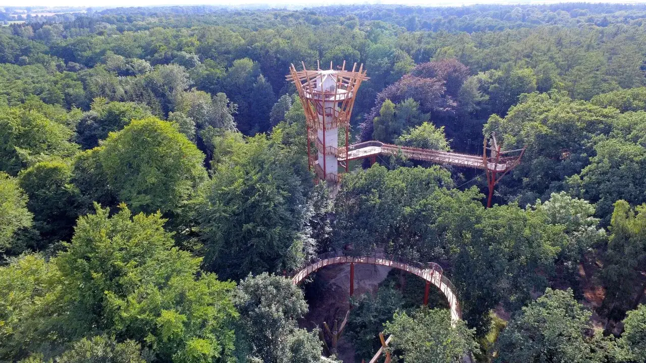 Ein Baumwipfelpfad schlängelt sich durch den Ivenacker Tiergarten. Ein futuristischer Aussichtsturm ragt aus dem dichten Grün.
