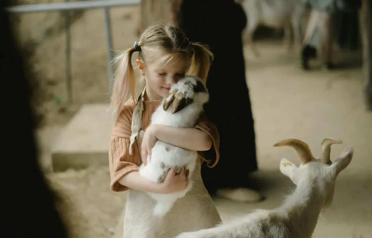 Dziewczynka tuli królika w zagrodzie, a obok niej stoi koza. To uroczy dzień w **petting zoo**.