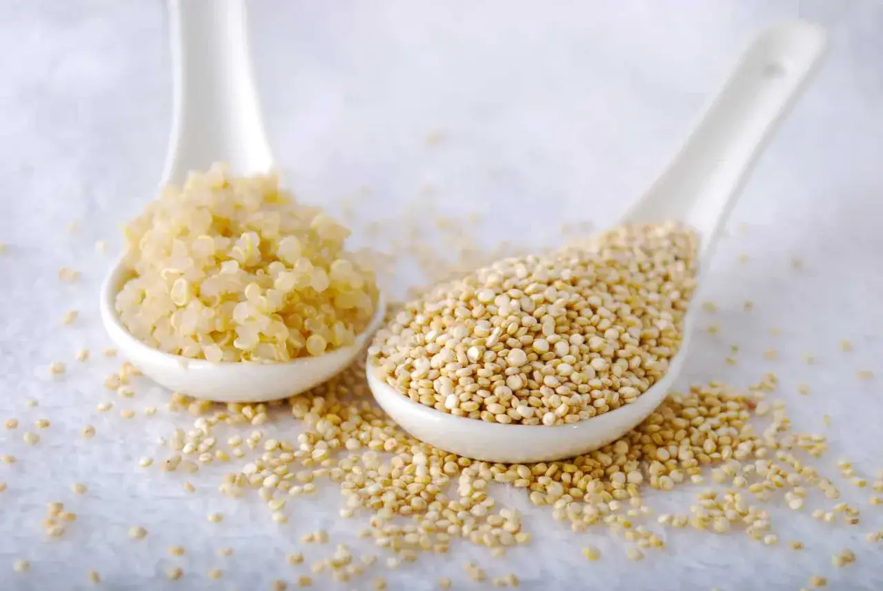 Zwei Löffel Quinoa: einer mit ungekochtem Korn, der andere mit gekochtem, das zeigt, wie schmeckt quinoa.