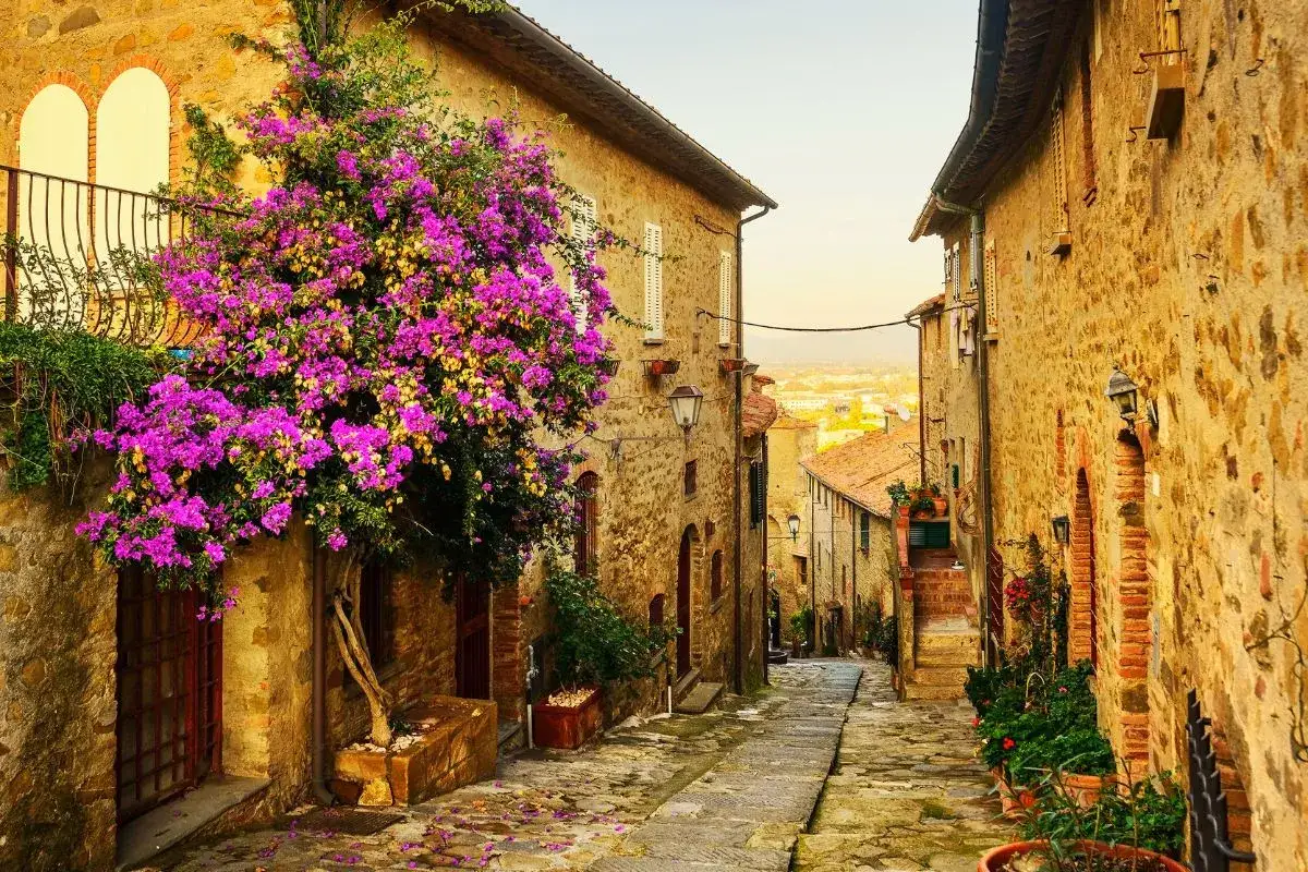 Un vicolo fiorito in un borgo vicino Marina di Massa, con case in pietra e bouganville viola.