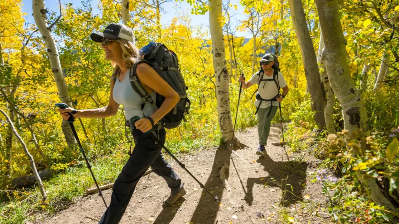 Dwie osoby wędrują po jesiennym szlaku, używając kijków do nordic walking. Słońce przebija się przez złote liście drzew.