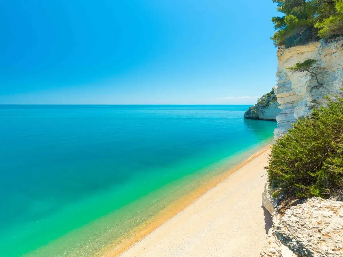 Spiaggia dorata baciata da acque cristalline, scogliere bianche e pini marittimi: il mare più bello in Puglia, un paradiso terrestre.
