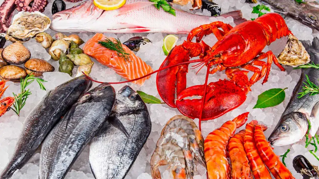 Un festin de fruits de mer sur glace : homard, saumon, dorades, crevettes, moules, hu&icirc;tres et poulpe. Une belle vari&eacute;t&eacute; de noms des poissons de mer.