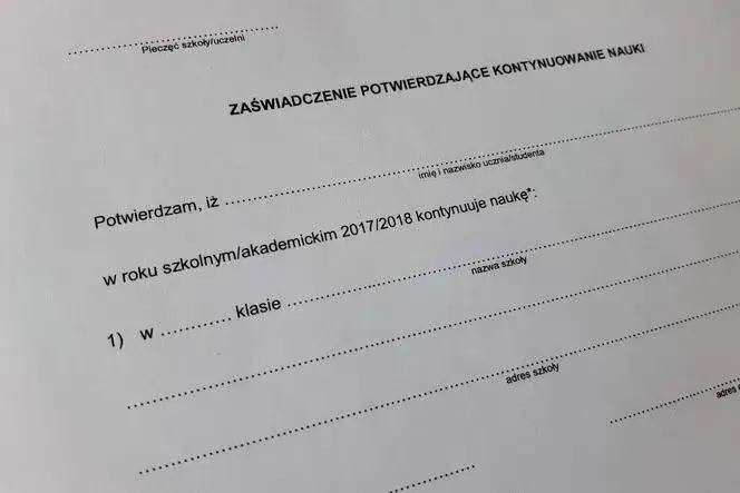 dokumenty ZUS, zaświadczenie o nauce, terminy ZUS