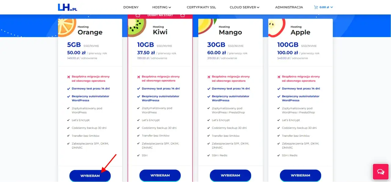 Wybierz hosting, aby łatwo postawić stronę na WordPressie. Oferty r&oacute;żnią się pojemnością i ceną.