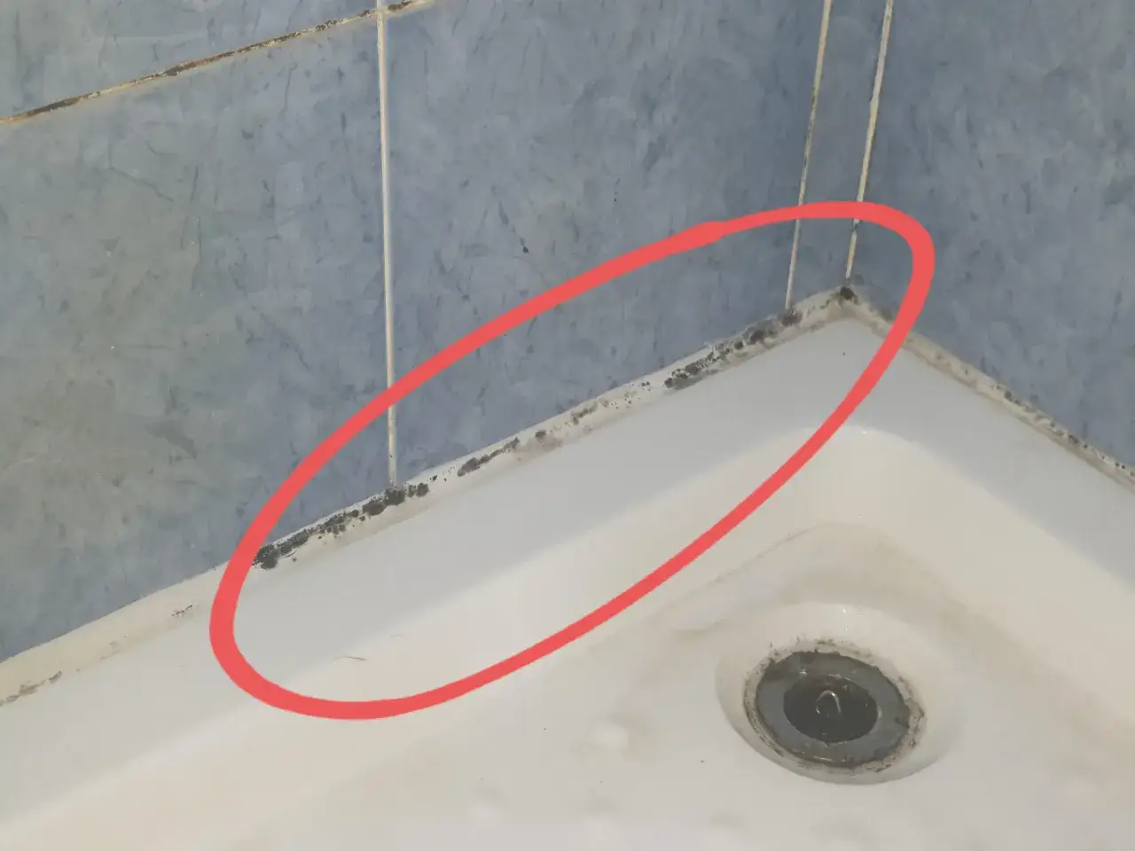 Moisissure noire sur le joint de la salle de bain, près du receveur de douche.