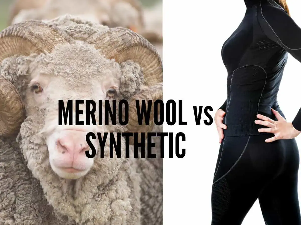 Owca merino i osoba w odzieży termoaktywnej. Porównanie materiałów: wełna merino vs syntetyk.