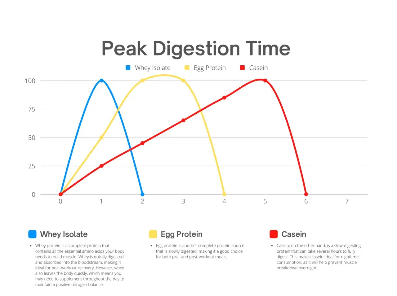 Grafico mostra il tempo digestione proteine in polvere: siero di latte rapido, uovo medio, caseina lenta.