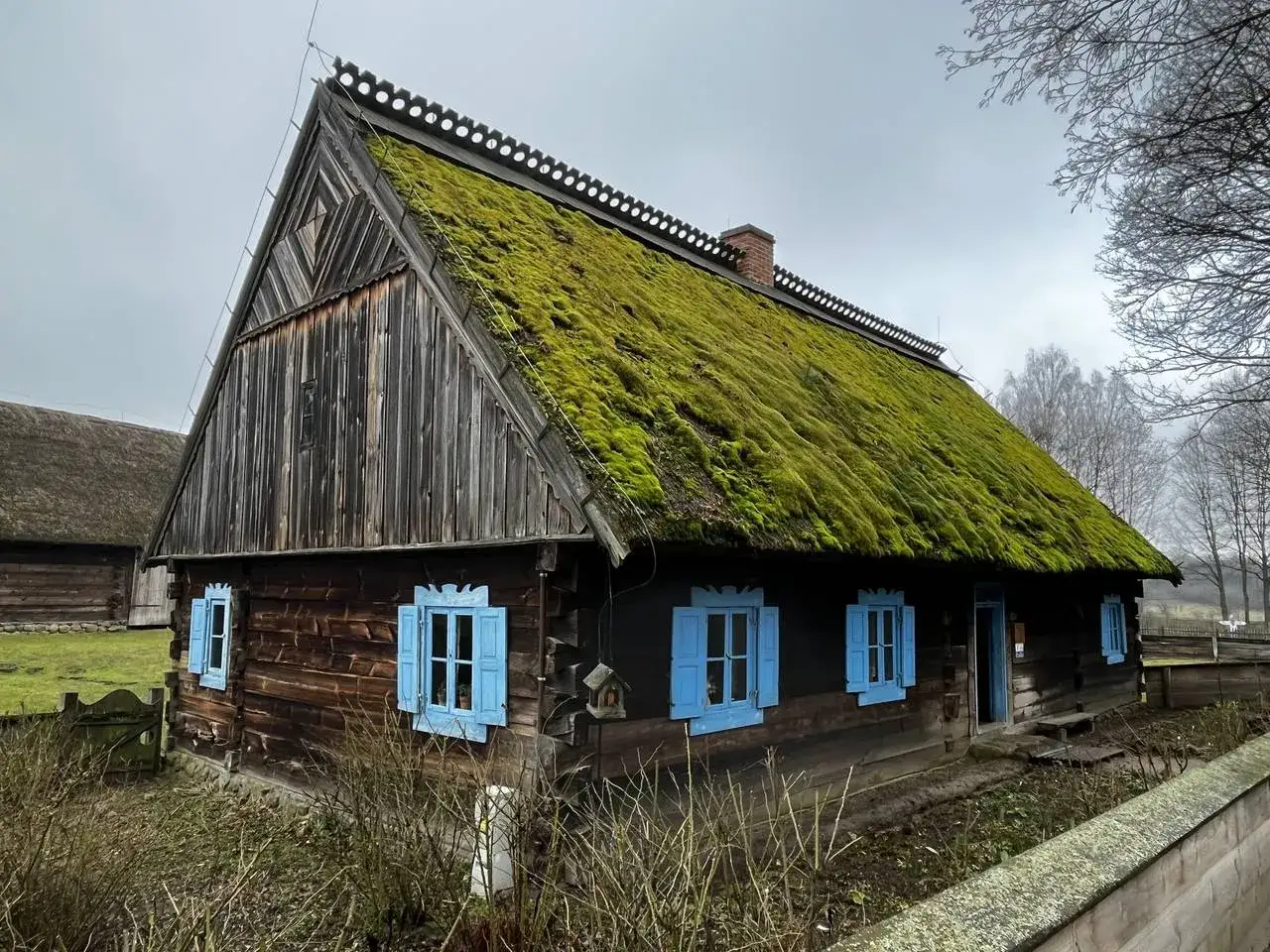 Drewniana zabudowa zagrodowa z dachem pokrytym mchem i niebieskimi okiennicami.