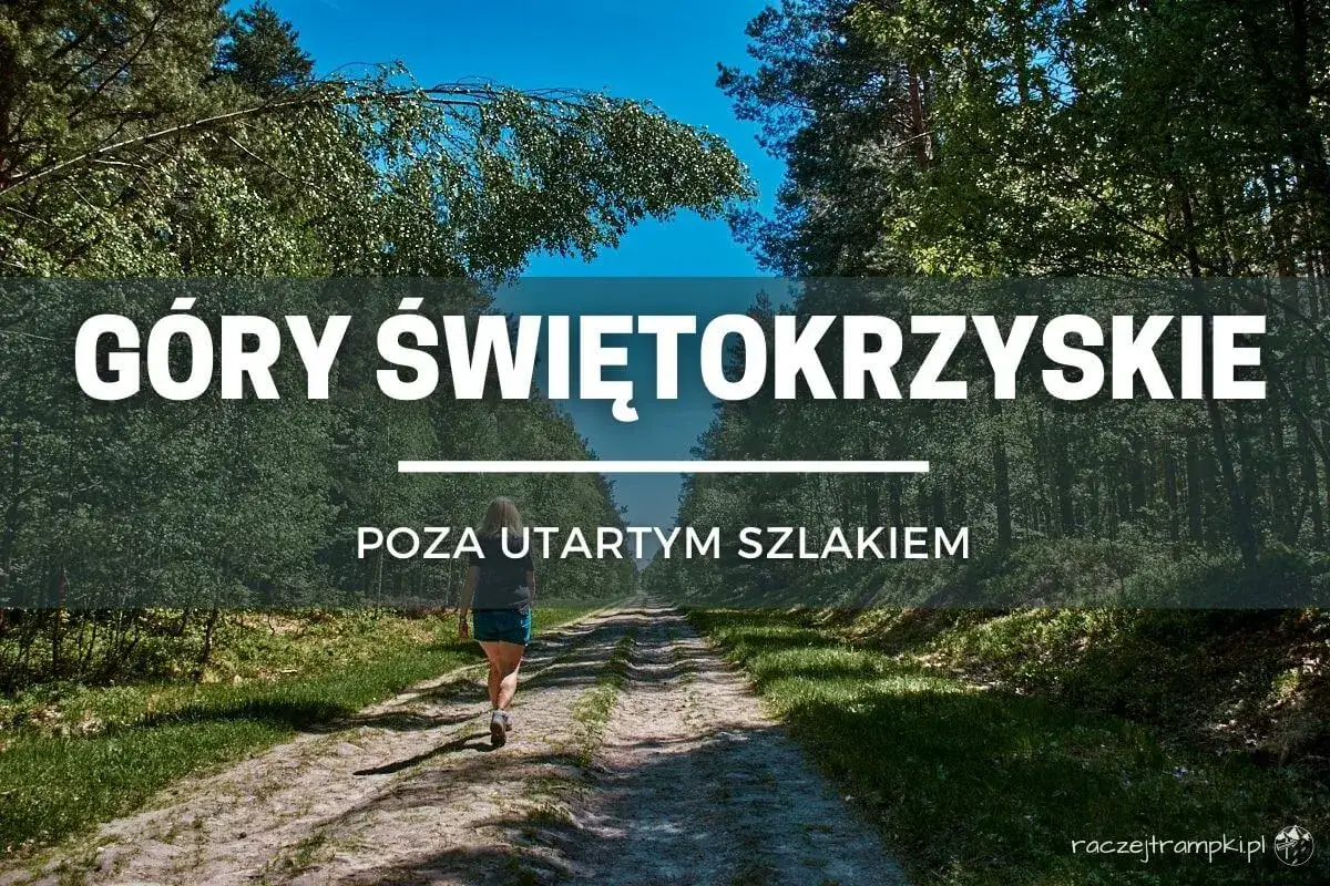 Kobieta idzie leśną ścieżką. Gdzie są G&oacute;ry Świętokrzyskie? Poza utartym szlakiem, w zieleni.