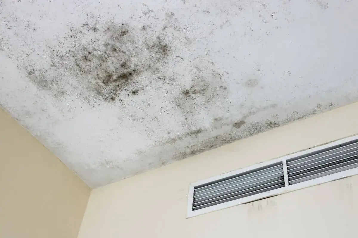 Macchie scure sul soffitto indicano un problema di umidità nell'aria, forse vicino alla griglia di ventilazione.
