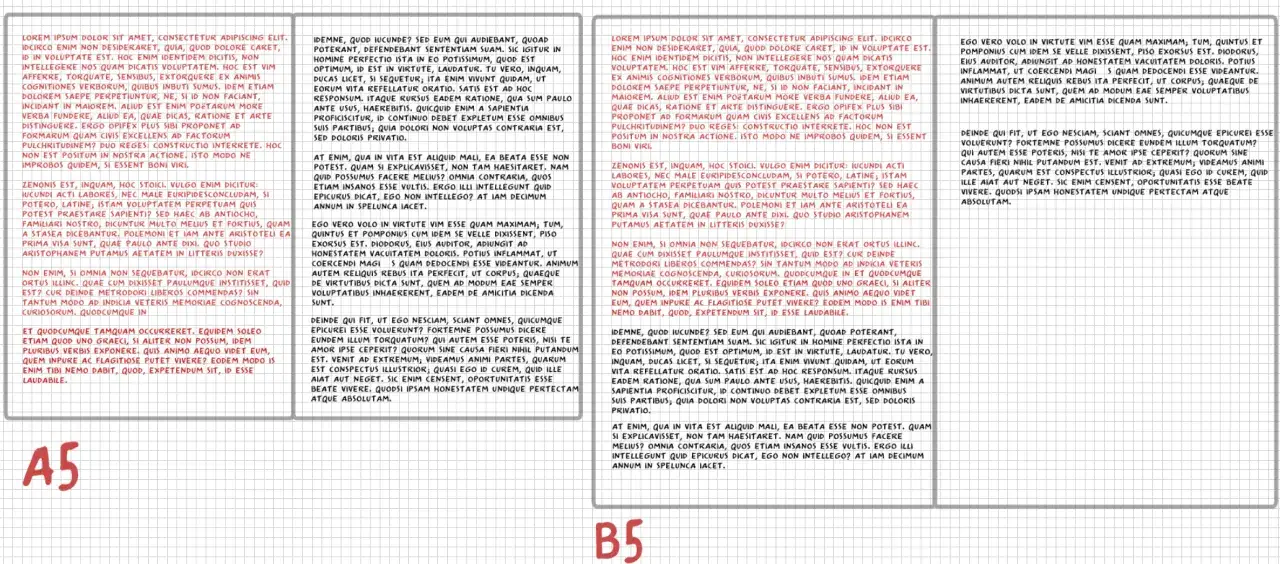 Text på ett b5 papper med latinska texter.