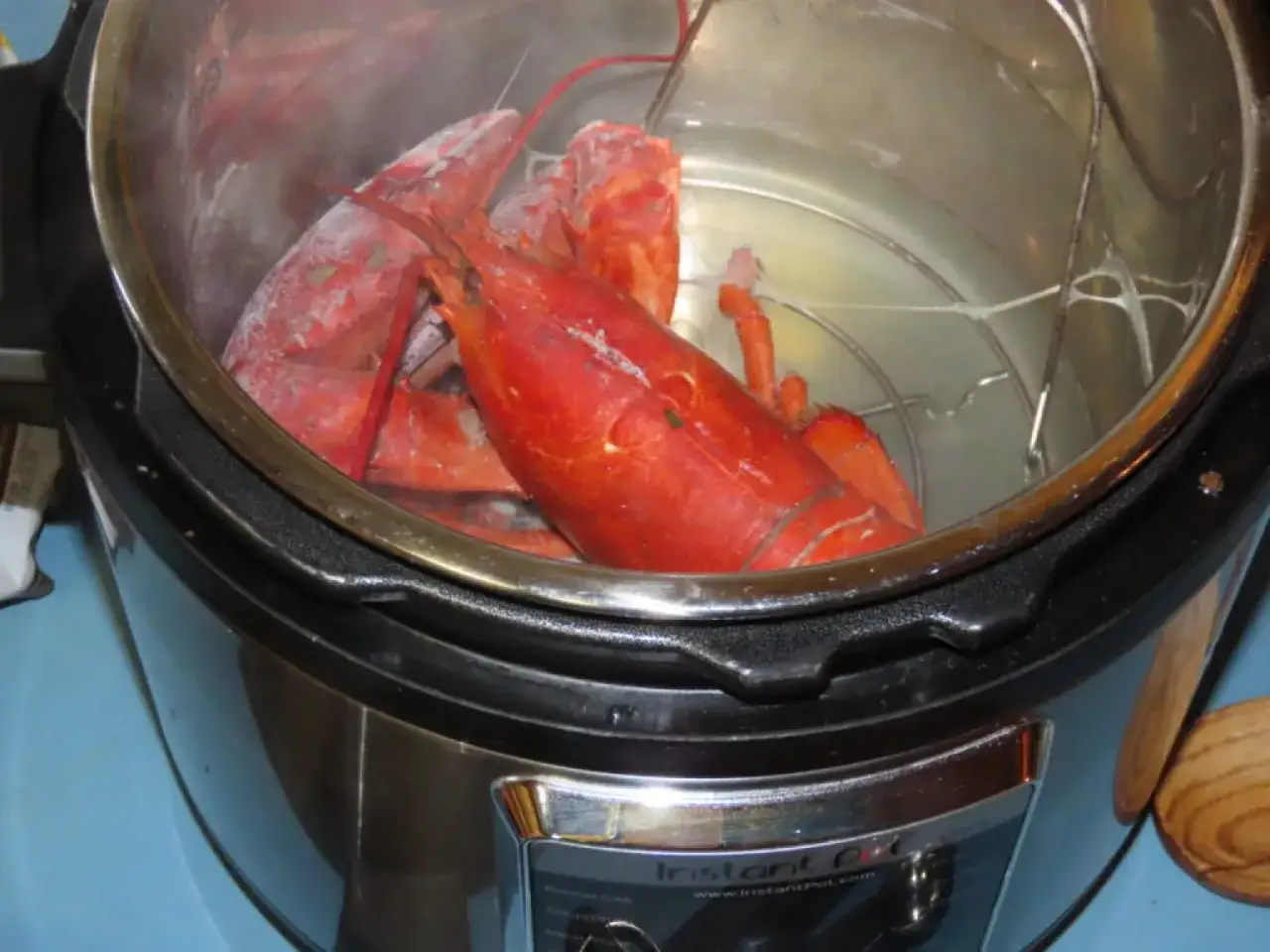 Deux homards rouges sont pr&ecirc;ts pour la cuisson dans un autocuiseur.