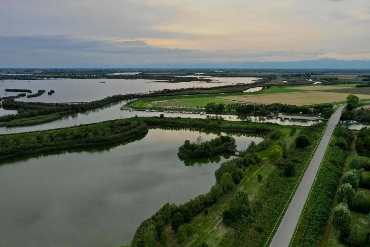 L'oasi Vallevecchia, un paesaggio di lagune e canali, con campi coltivati e una strada che attraversa la vegetazione lussureggiante.