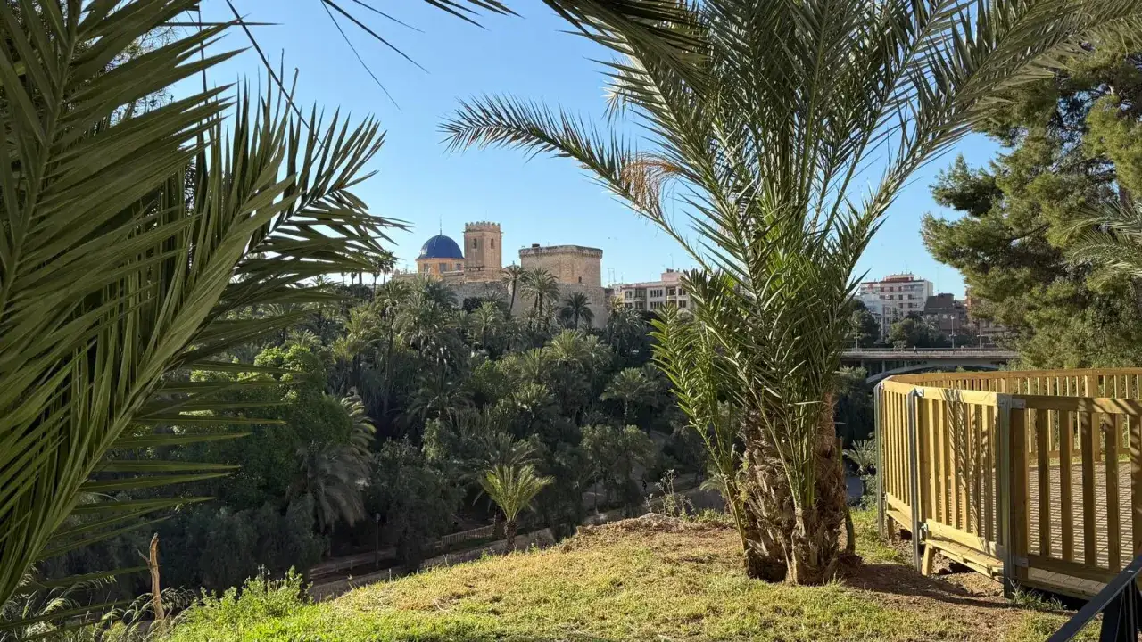 El Palmeral de Elche, un oasis verde, se extiende bajo un cielo azul. En la colina, un castillo y una iglesia con c&uacute;pula azul vigilan el paisaje.