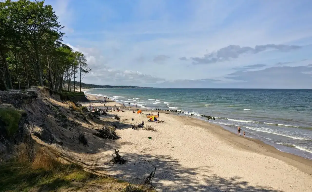 Plaża z sosnami na wydmach, w oddali widać ludzi i morze. Idealne miejsce na orzechowo-słoneczny relaks.