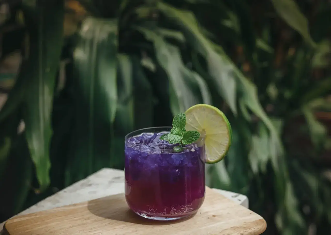 Wariacje drinków Collins
