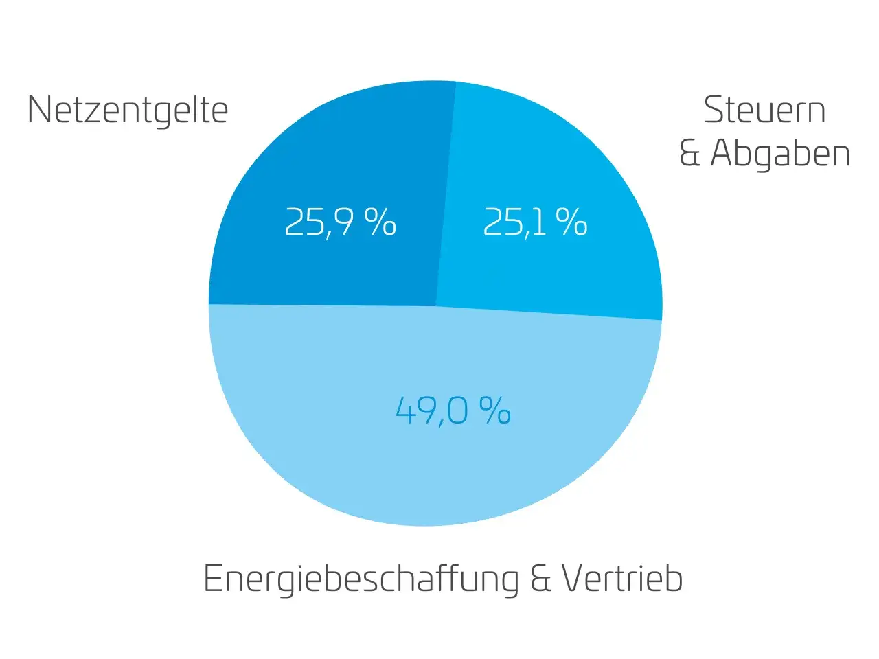 Kreisdiagramm zeigt die Stromkostenentwicklung in Deutschland: Energiebeschaffung & Vertrieb (49%), Netzentgelte (25,9%) und Steuern & Abgaben (25,1%).