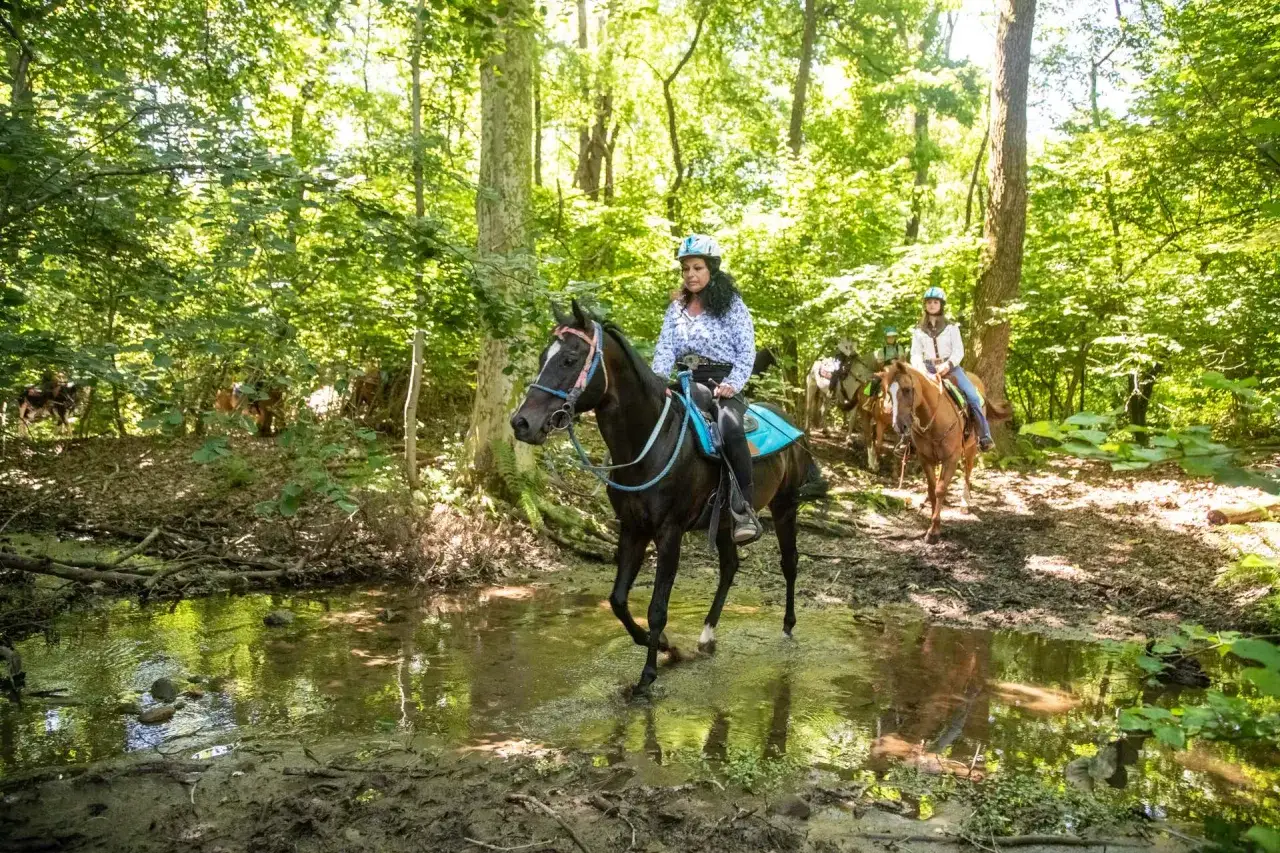 Una **passeggiata a cavallo in Lombardia** attraverso un bosco lussureggiante, con cavalieri e cavalli che attraversano un ruscello.