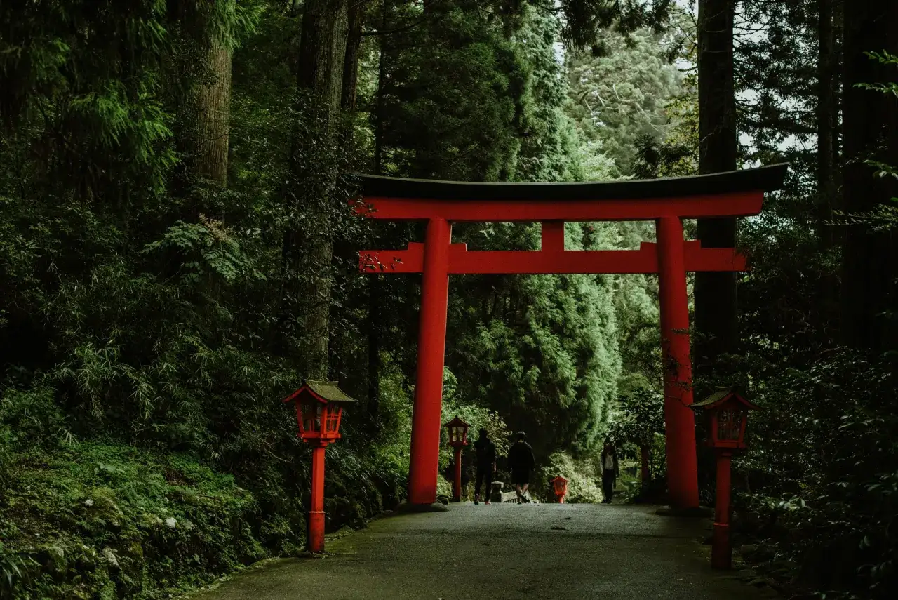 Czerwona brama torii i latarnie w lesie to idealne miejsca, co warto zobaczyć w Japonii.
