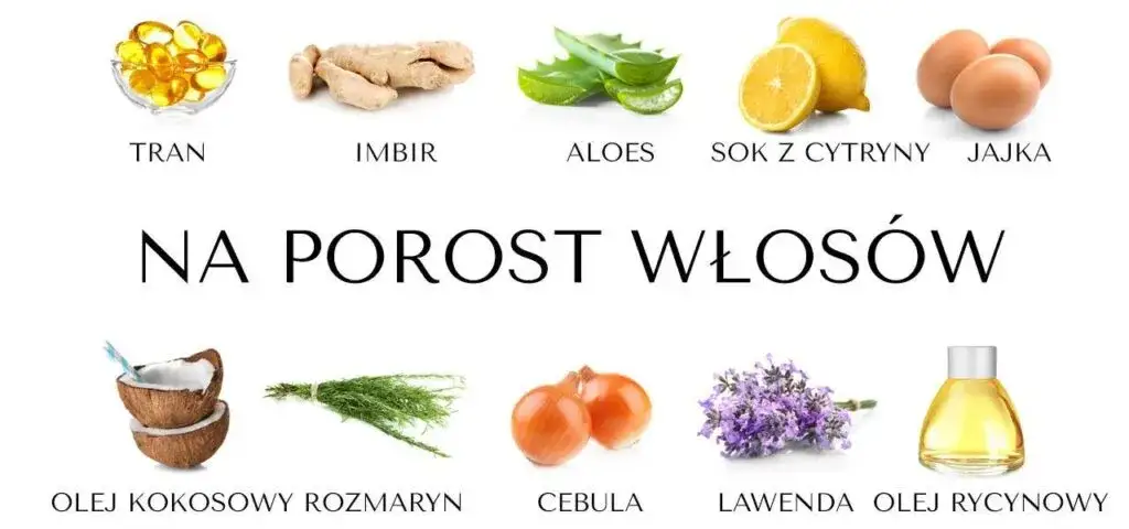 domowe odżywki do włosów składniki