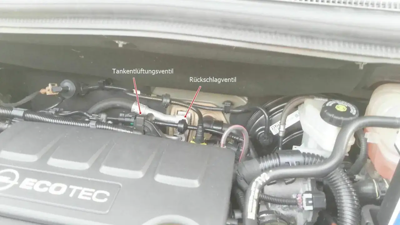 Motorraum eines Opel mit markiertem Tankentlüftungsventil und Rückschlagventil.