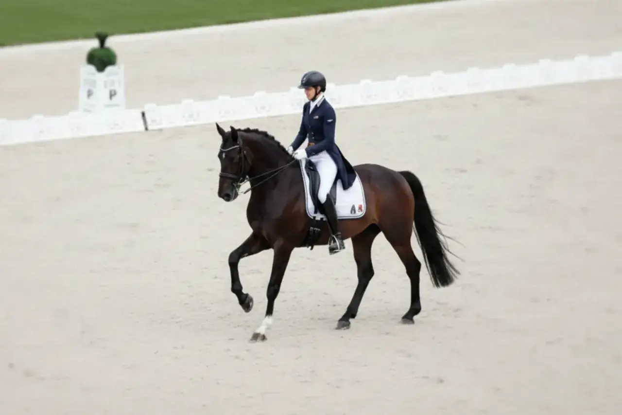 Cavalière en tenue de dressage, un sport qui contribue au nombre de licenciés équitation France.