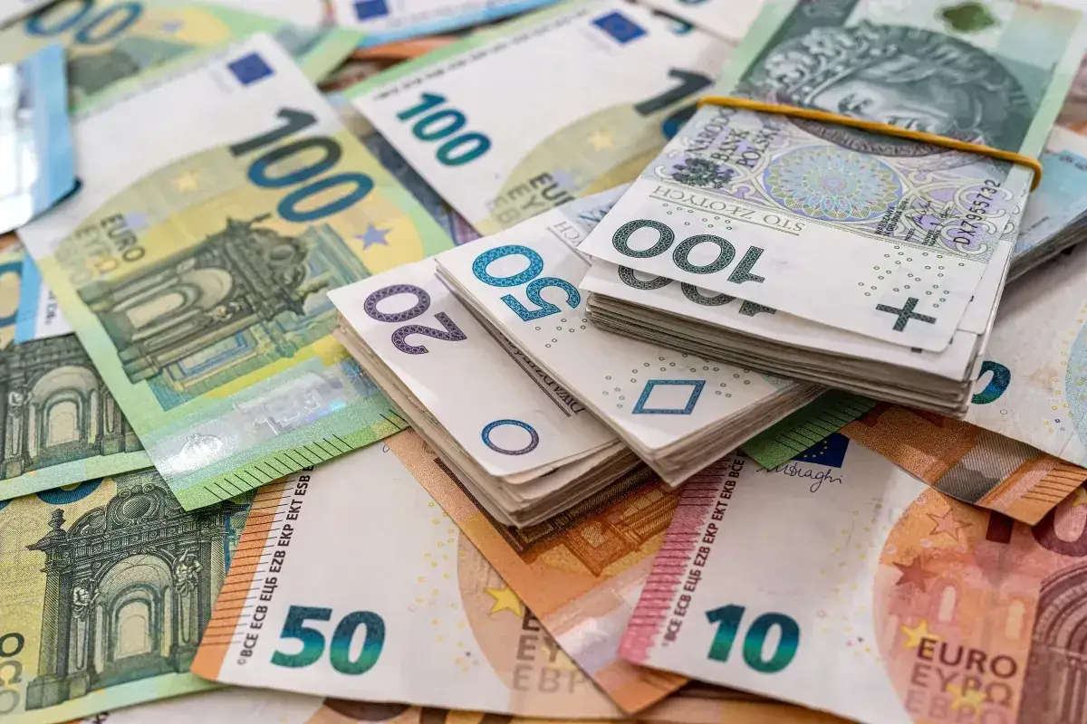 Stos banknotów euro i złotówek. Wśród nich 100 euro, 100 zł, 50 zł, 20 zł, 50 euro, 10 euro. Marzenia o rozwoju dla małego podatnika.