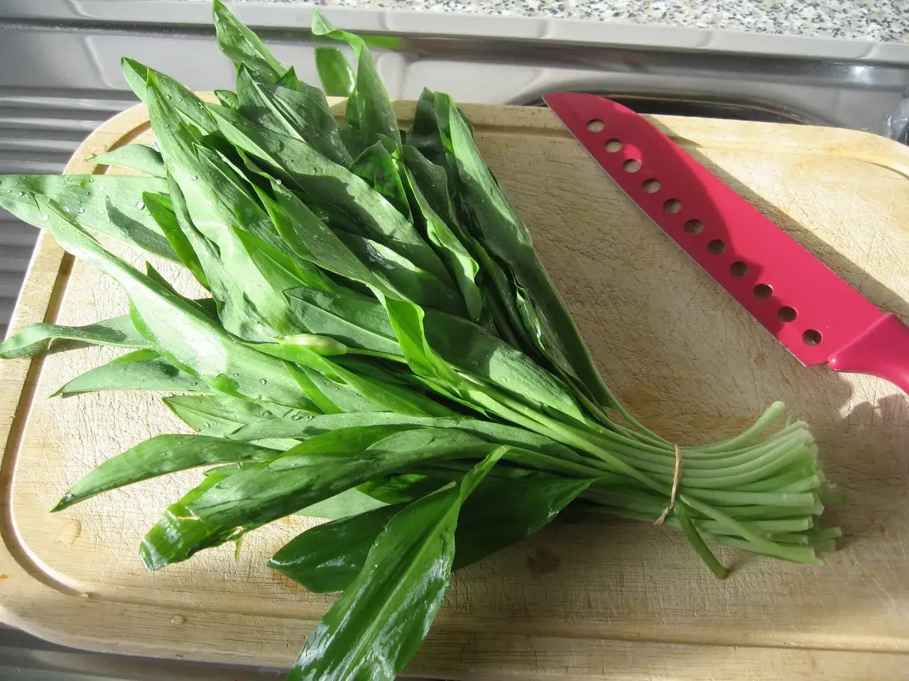 Pęczek świeżego czosnku niedźwiedziego, gotowego do użycia jako aromatyczna przyprawa. Obok leży różowy nóż.
