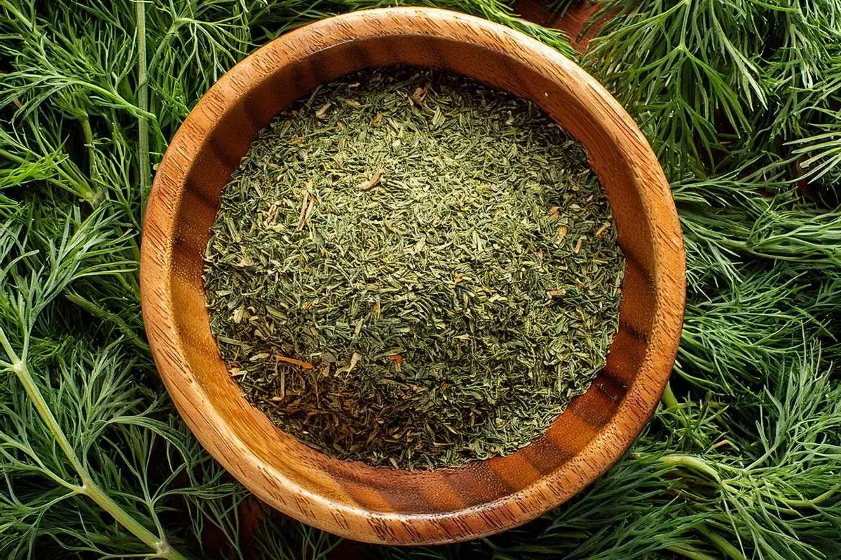 Holzschale mit getrocknetem Dill, umgeben von frischen Dillzweigen. Perfekt zum Würzen von Speisen.