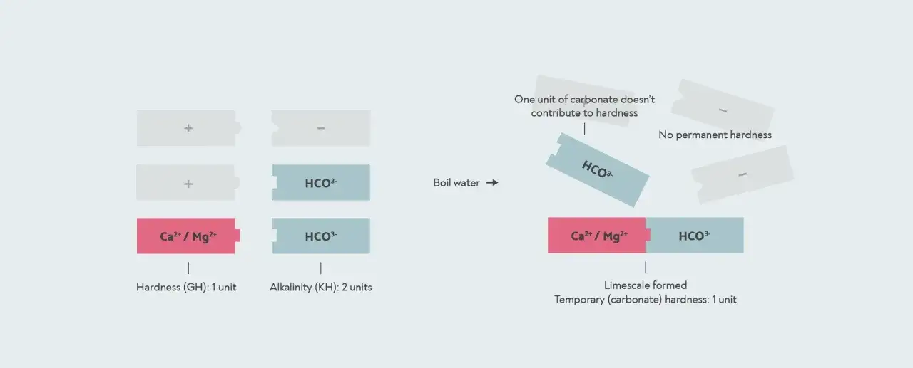 Sch&eacute;ma montrant comment faire bouillir l'eau pour r&eacute;duire la duret&eacute; temporaire. Le calcaire se forme, r&eacute;duisant la duret&eacute; carbonat&eacute;e.