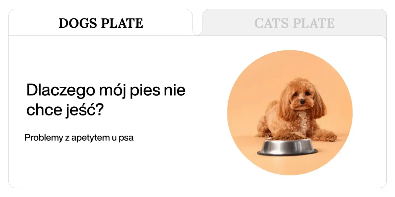 Uroczy piesek leży obok miski z jedzeniem, ale wygląda na to, że m&oacute;j pies nie chce jeść.