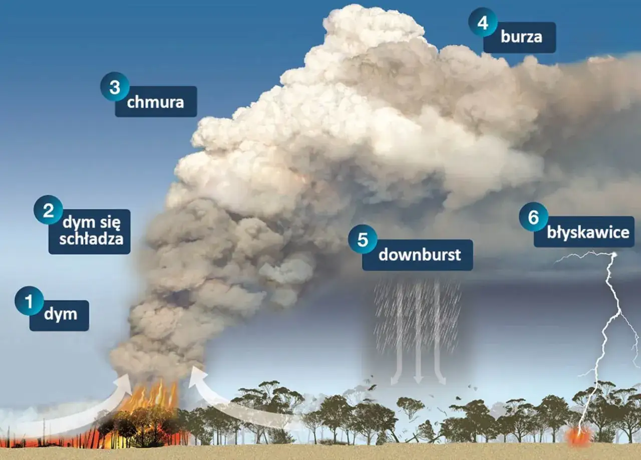 Schemat wyjaśniający pożary w Australii: dym, chmura, burza, downburst i błyskawice.