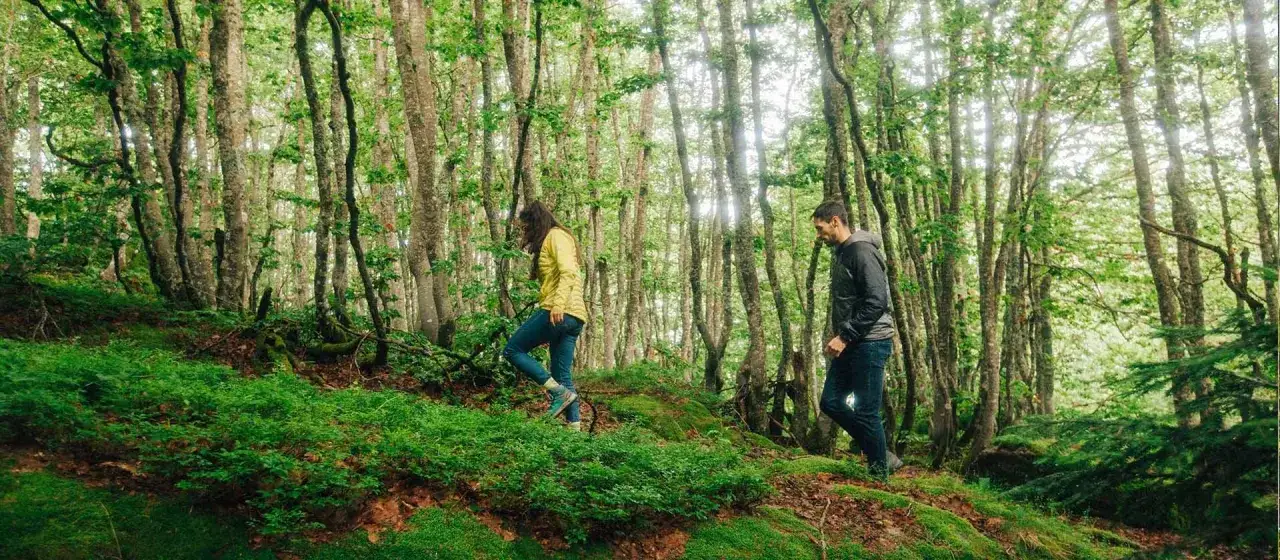 Dos personas caminan por un bosque frondoso y verde. El sol se filtra entre los &aacute;rboles, creando un ambiente m&aacute;gico. Es un d&iacute;a perfecto para disfrutar del candanchu verano.