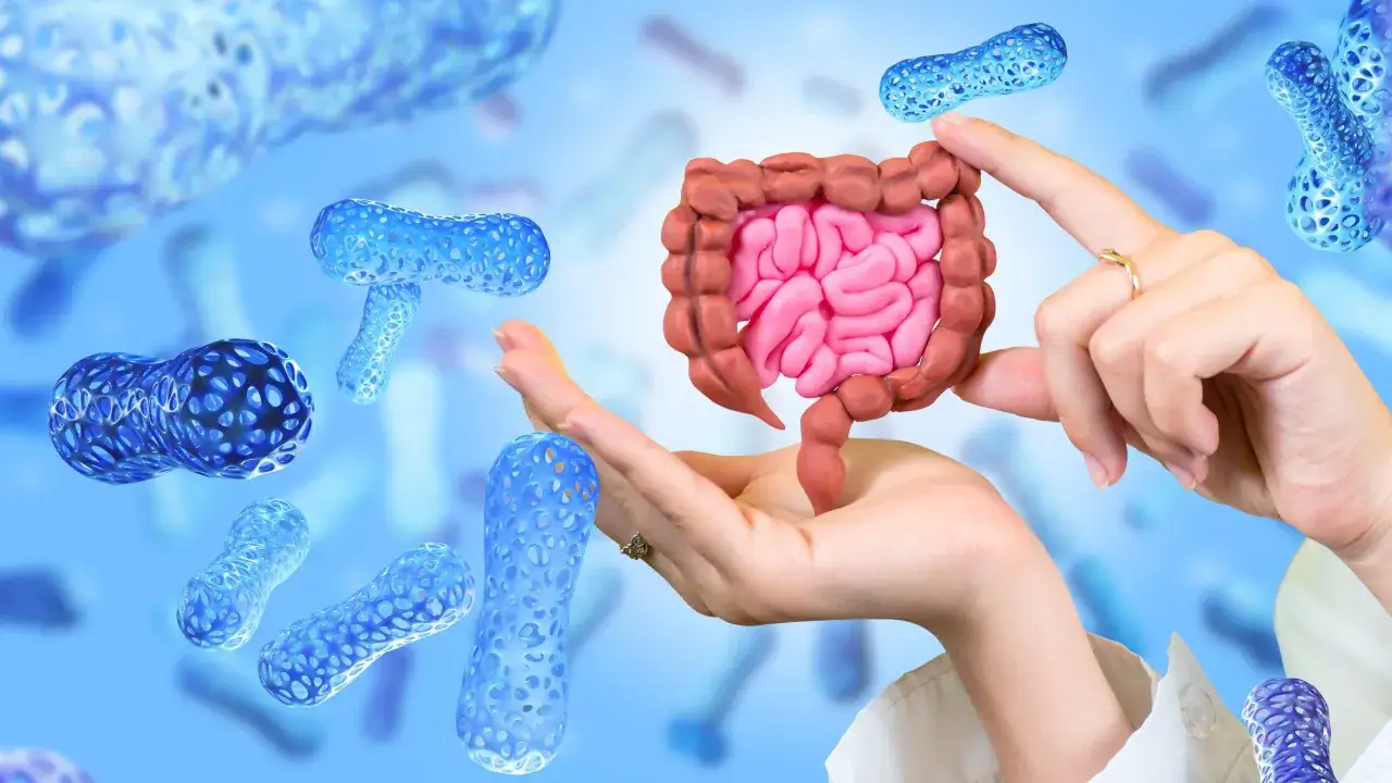 skuteczność probiotyk&oacute;w jelita