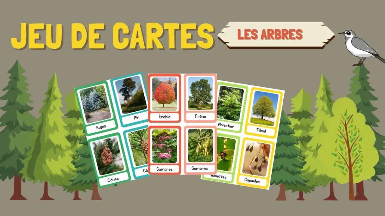 Jeu de cartes