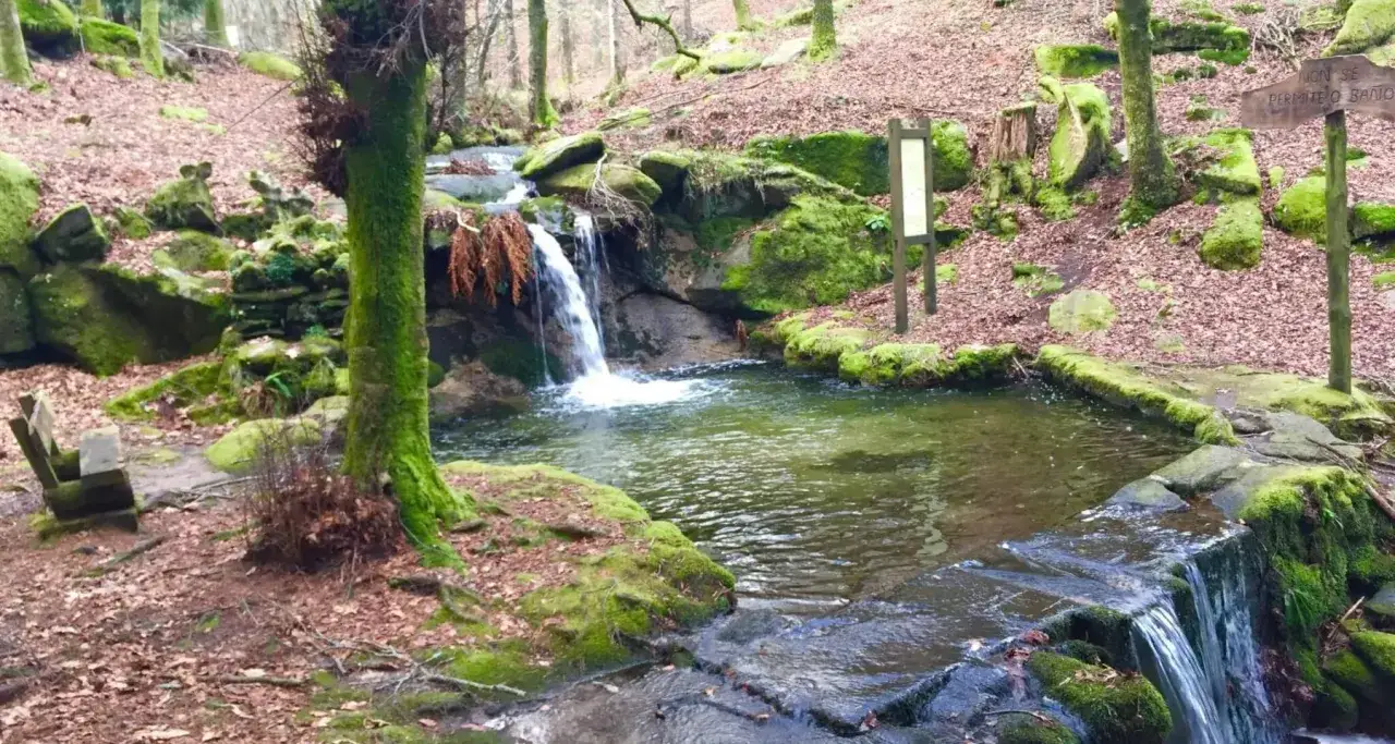 Cascada y poza en el parque natural Monte Aloia. Un banco de madera invita a contemplar la naturaleza.