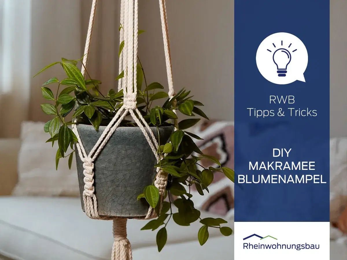 Eine gr&uuml;ne Pflanze in einem grauen Topf h&auml;ngt an einer selbstgemachten Makramee-Blumenampel. RWB Tipps & Tricks: DIY Makramee Blumenampel.