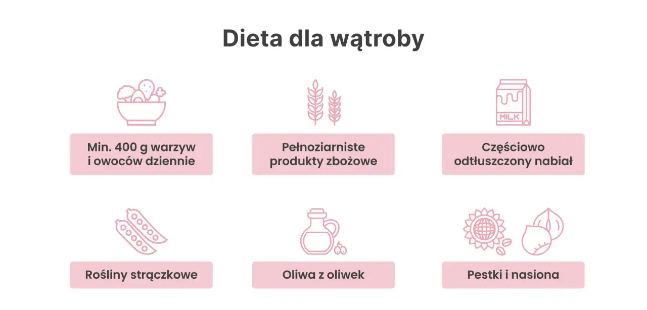 Wątroba regeneracja dieta