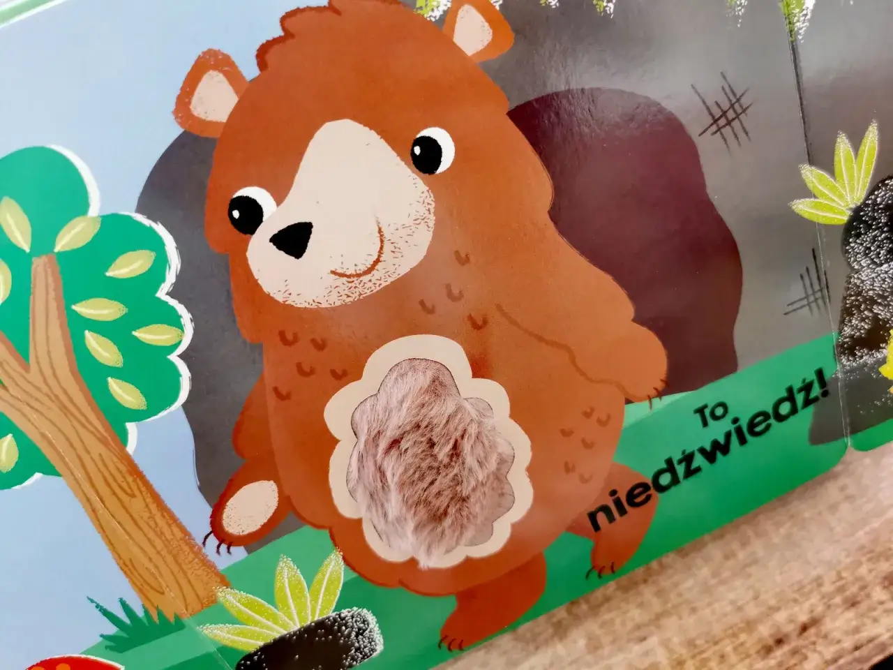 Miś z futerkiem na brzuszku zaprasza do zabawy. To niedźwiedź! Idealny do zagadek o zwierzętach leśnych dla dzieci.