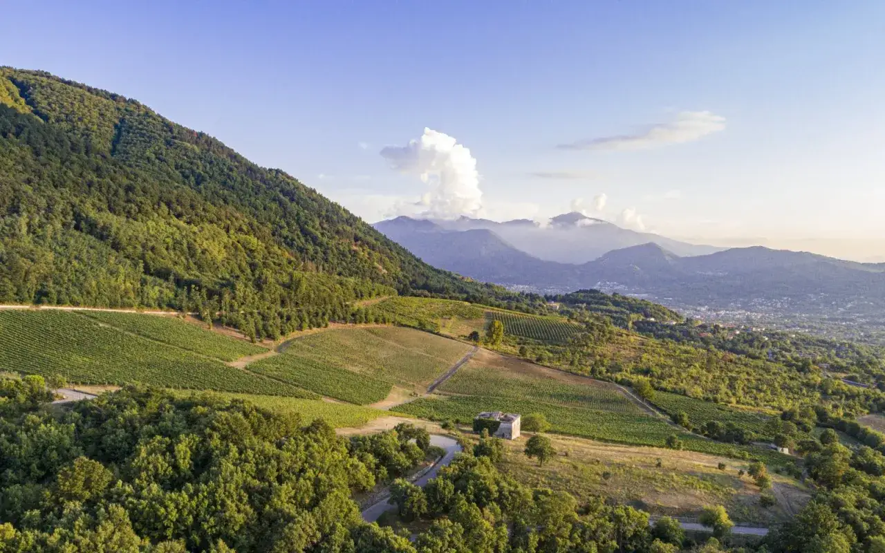 Colline verdi con vigneti rigogliosi, dove nasce il pregiato Fiano di Avellino DOCG. Un paesaggio incantevole sotto un cielo azzurro.
