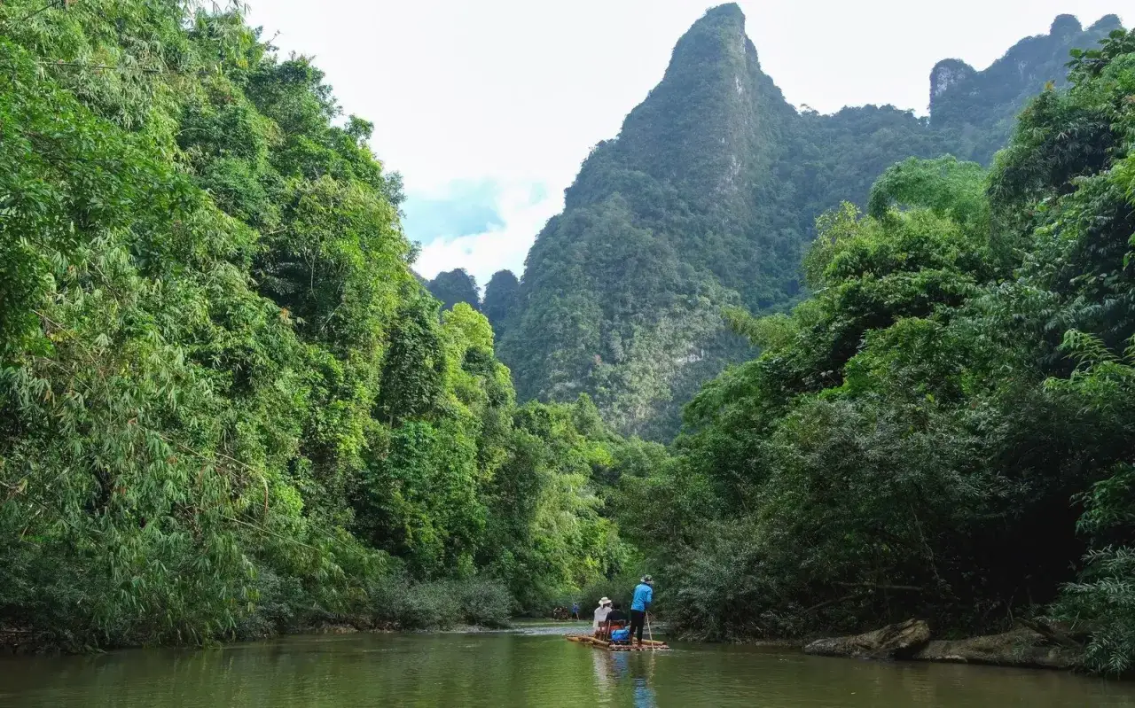 Bootsfahrt durch üppige Vegetation im Nationalpark Thailand. Majestätische Berge ragen hinter dichtem Grün auf.