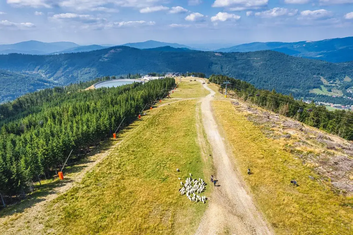 G&oacute;rskie krajobrazy i owce na zboczu, idealne na bielsko biała trasy rowerowe. Widok z lotu ptaka na szczyt z kolejką linową.