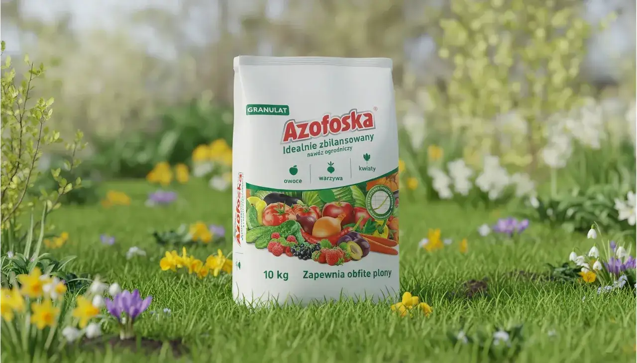 Azofoska, nawóz ogrodniczy, zapewnia obfite plony owoców, warzyw i kwiatów. Idealny do każdego ogrodu, zawiera superfosfat potrójny.