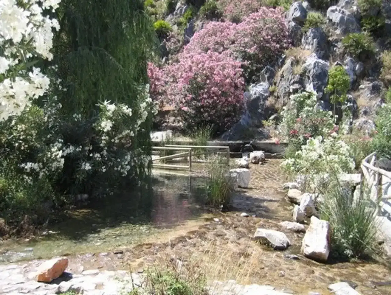 El nacimiento del río Molinos, un arroyo cristalino entre rocas y flores rosas y blancas, con un puente de madera.