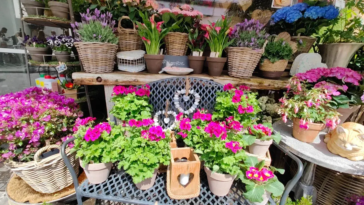 Ambiance bucolique : un &eacute;talage de fleurs color&eacute;es, des paniers en osier et une statue de chat endormi cr&eacute;ent un d&eacute;cor champ&ecirc;tre charmant.