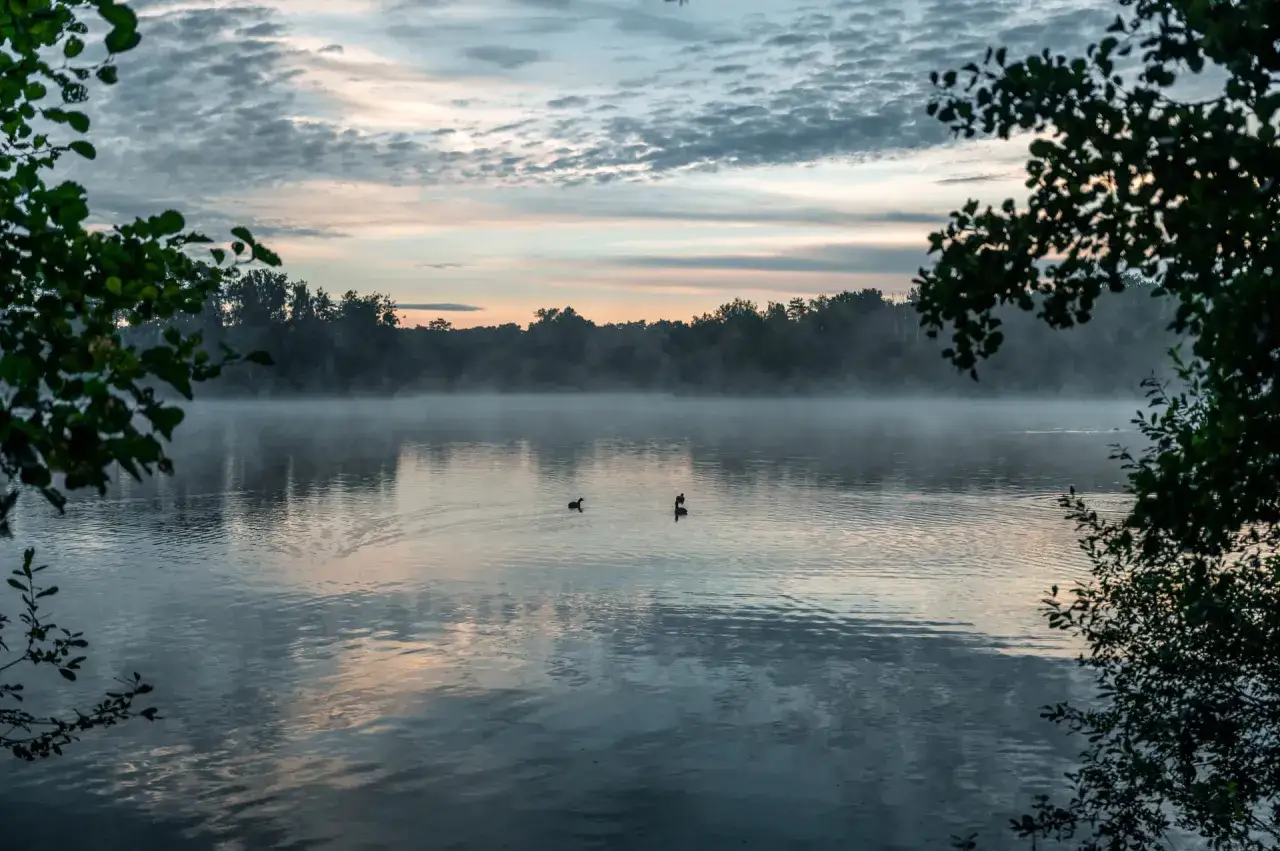 Nebel steigt vom See auf, zwei Enten schwimmen im ruhigen Wasser. Der Himmel ist mit Wolken bedeckt, die in den Farben des Sonnenuntergangs leuchten. Ein friedlicher Morgen, der **hohe Ward**-Stimmung vermittelt.