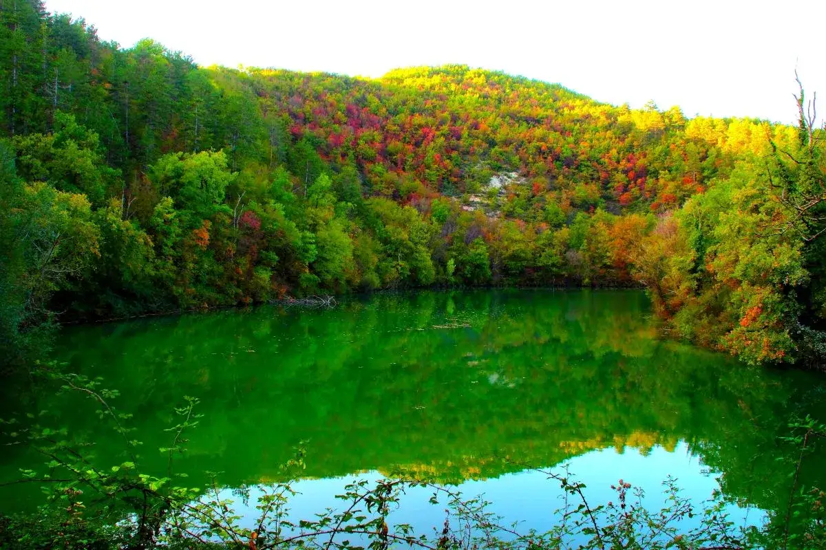 Il lago di Boccafornace riflette un bosco autunnale dai colori vivaci, con sfumature di rosso, arancione e verde che si specchiano nelle sue acque smeraldine.