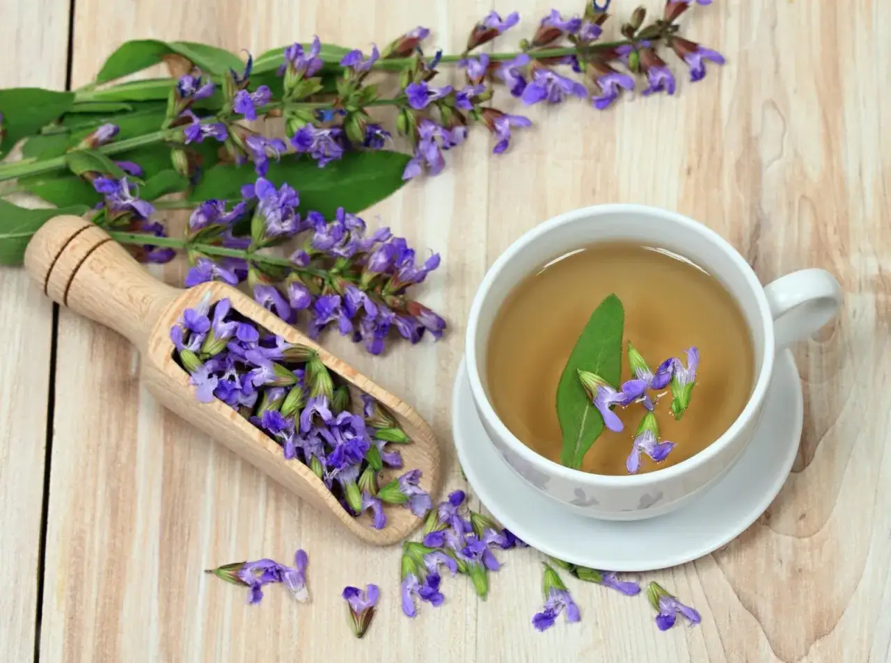 Frischer Salbei mit Blüten auf einem Holzlöffel und eine Tasse Salbeitee. Die Salbeitee Wirkung ist bekannt für ihre wohltuenden Eigenschaften.