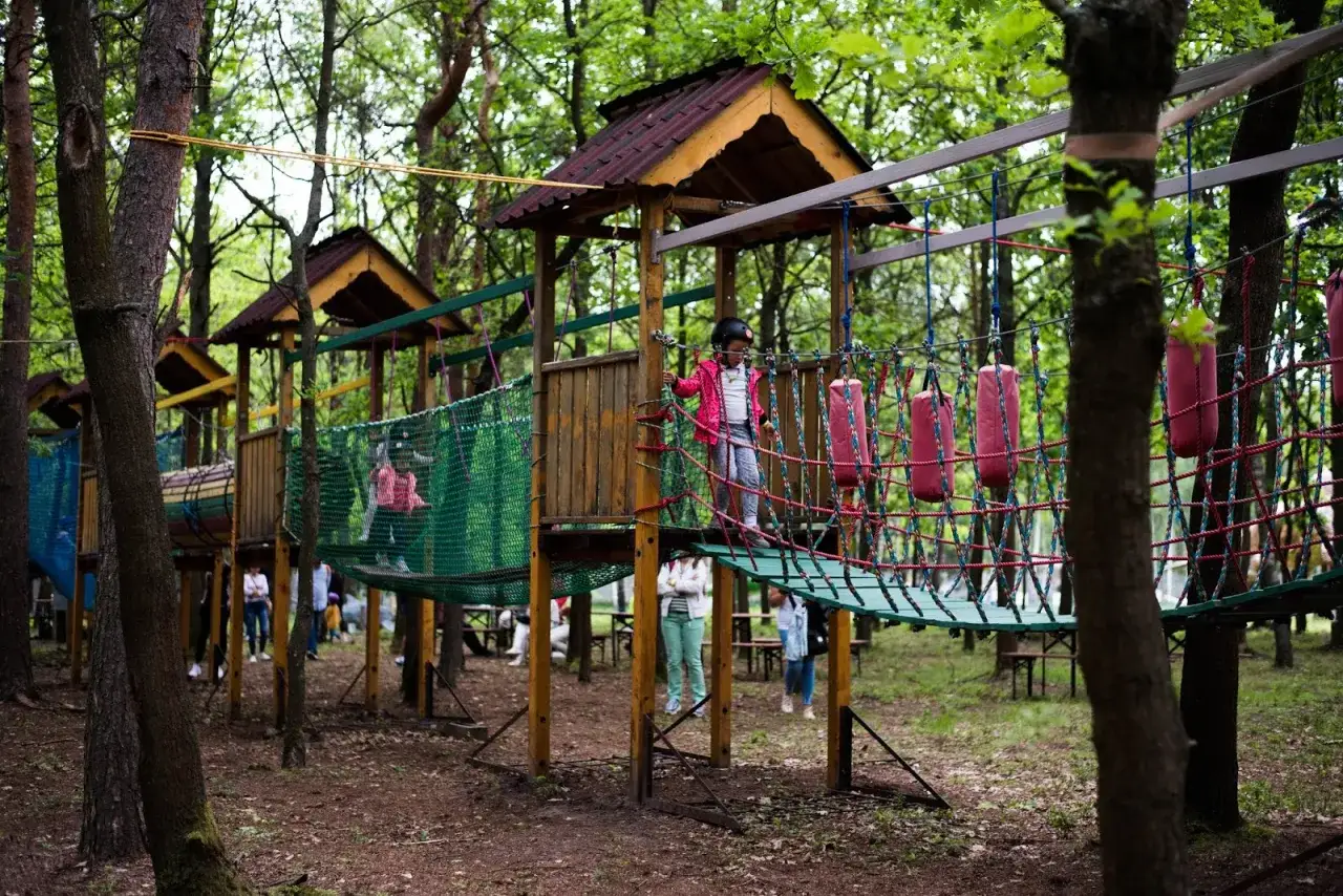 Dzieci bawią się na linowym torze przeszkód w **brzezówka park**. Drewniane platformy i zielone siatki tworzą ekscytującą ścieżkę wśród drzew.